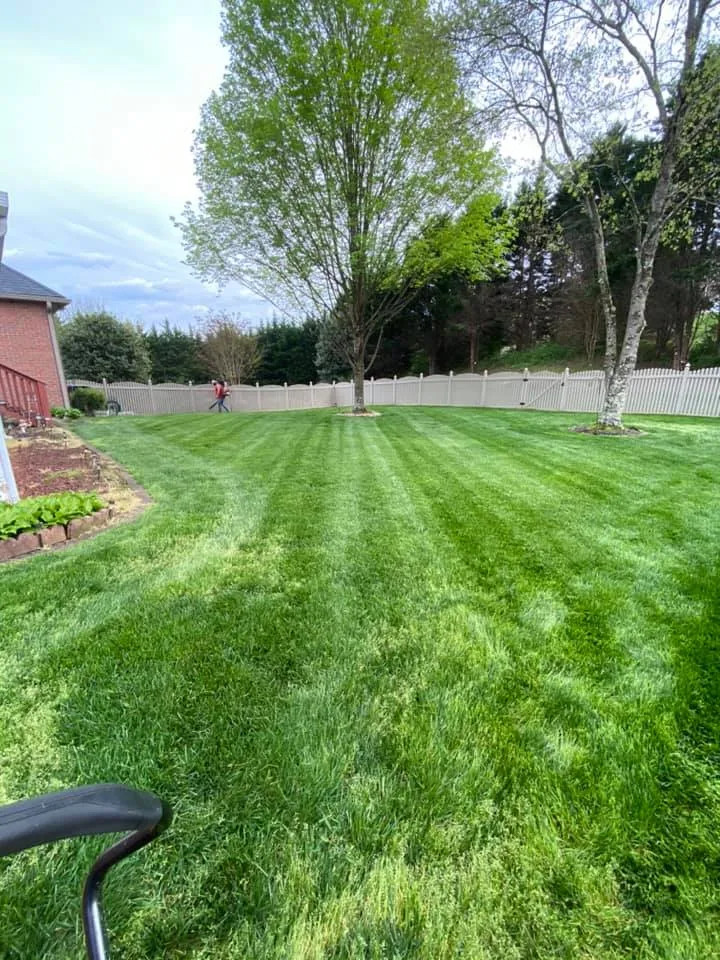 Perfectly mowed residential lawn with clean cut lines